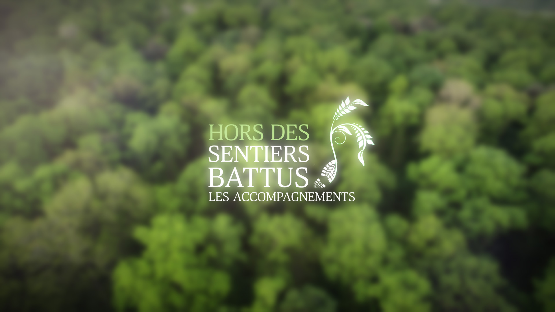 Les Accompagnements